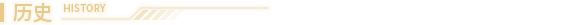 组件-历史.png
