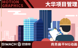 大华项目管理